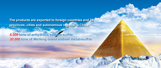 Shijiazhuang Weifeng Technology Co., Ltd.